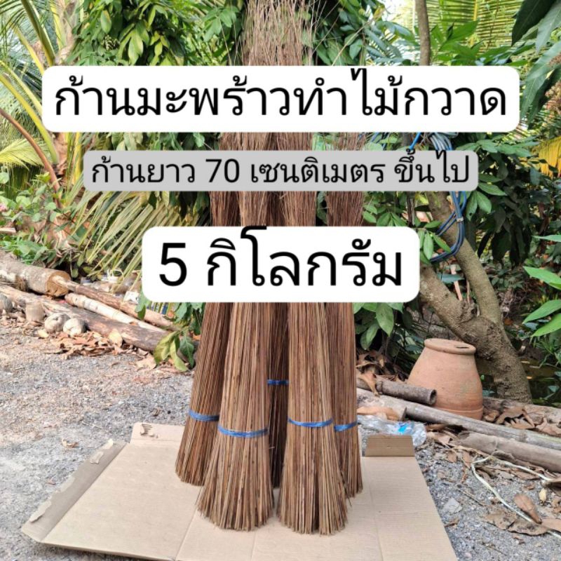 ก้านทางมะพร้าว ก้านทำไม้กวาดทางมะพร้าว ยาว 70 ซ.ม. ขึ้นไป น้ำหนัก 5 กิโลกรัม