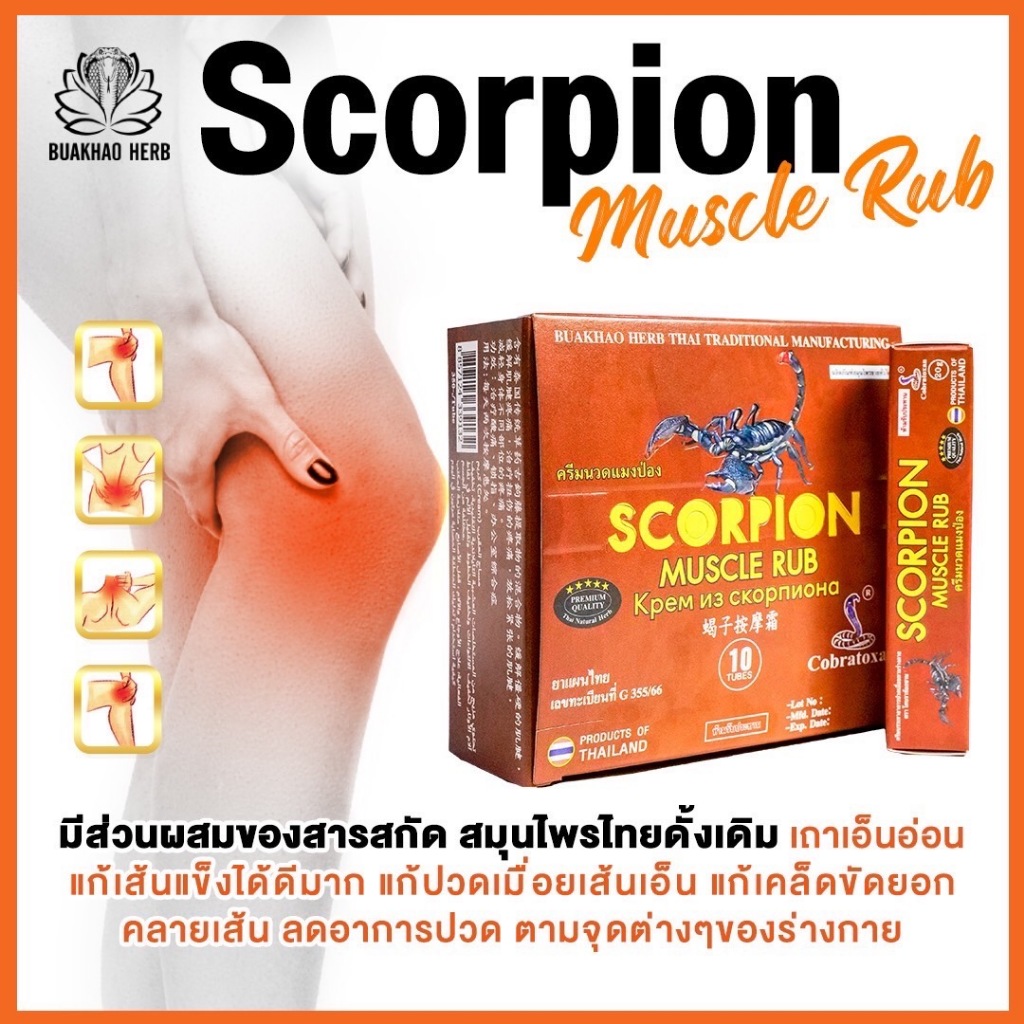 Thaicobraxan Cool สูตรเย็น ปวดเมื่อย เส้นตึง กล้ามเนื้ออักเสบ ด้วยพลังสมุนไพรไทยผสมใบบัวบก ราคา ถูกที่สุด ดีลบีเคเค แกลเลอรีภาพที่ 5