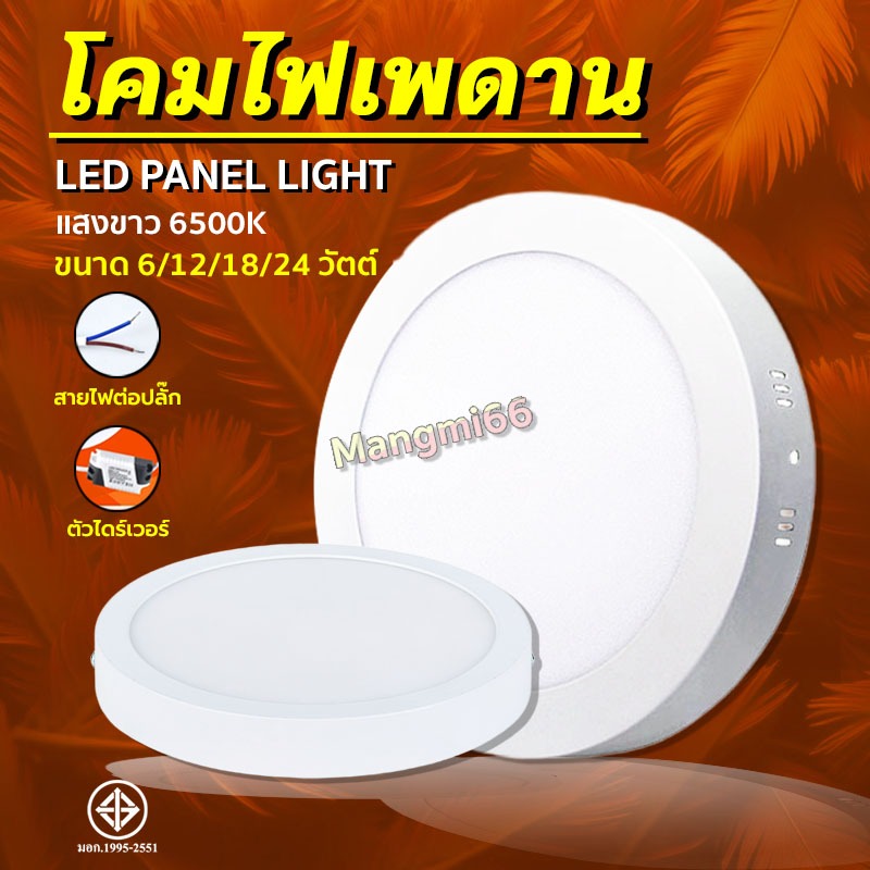 ไฟเพดาน ไฟดาวน์ไลท์ LED โคมไฟและแผงไฟ 6/12/18/24 วัตต์ (แสงขาว) ทรงกลม ประหยัดพลังงาน