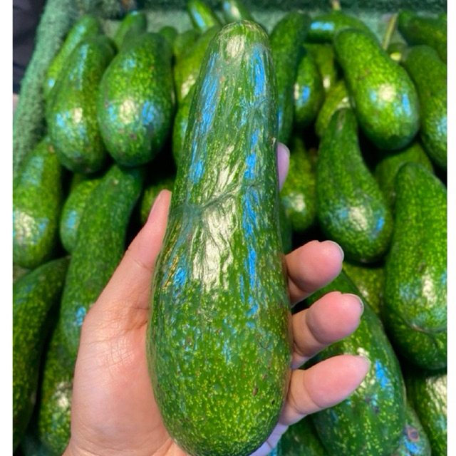 อโวคาโด อโวคาโด034 เวียดนาม034 อาโวคาโดเวียดนาม เนื้อมันหวานอร่อย