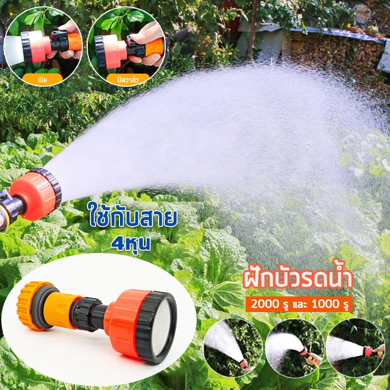 ฝักบัวรดน้ำ 2000 รู และ 1000 รู ขนาด 4หุน(1/2) ฝักบัวรดน้ำเเรงดัน ฝักบัวรดน้ำแคคตัส ฝักบัวรดน้ำบอนไซ ฝักบัวรดน้ำต้นไม้