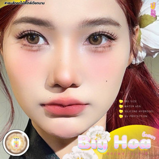สายตาปกติ 🍬Big Hoa (Dia14.5) u lens ค่าอมน้ำ 65%