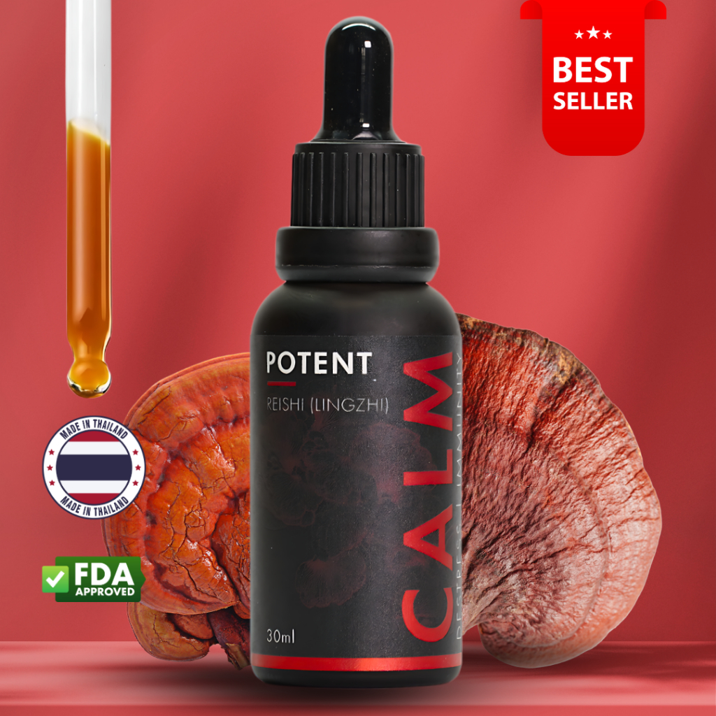 POTENT: Reishi Mushroom | 100% Pure Fruiting Body | De-stress, Sleep | Dual Extract | No Alcohol |