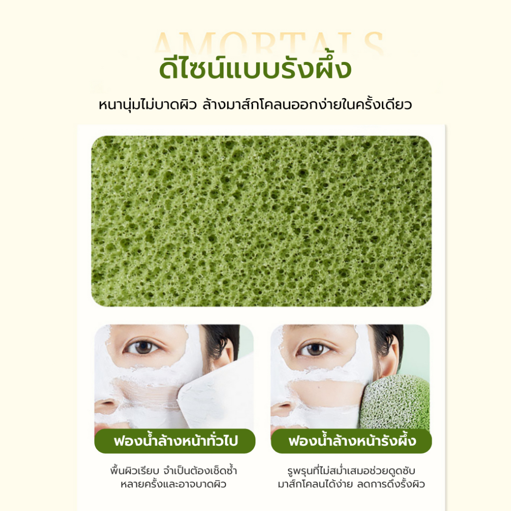 รูปภาพ 5