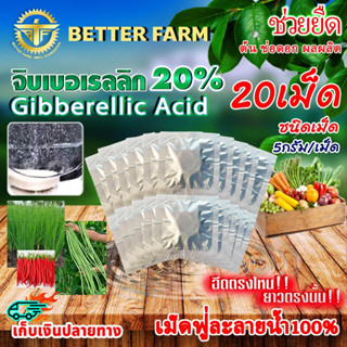 จิ๊บเม็ด จิบเบอเรลลิน Gibberellin จิบเบอเรลลิก แอซิด ชนิดเม็…