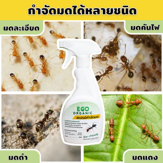 ไล่ กำจัดมด ยากำจัดมด ฉีดมด แมลงสาบ Ants Cockroaches & Insect