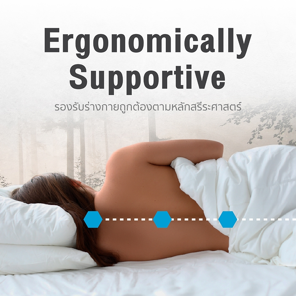 [ฟรี!ชุดผ้าปู] LOTUS