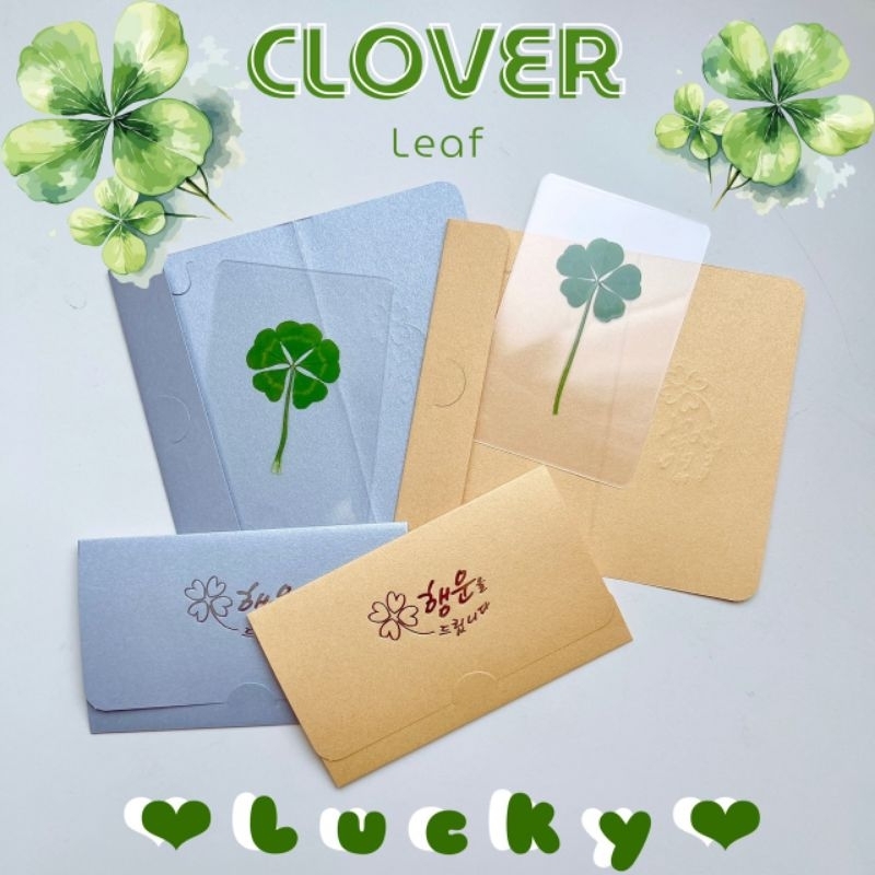 <พร้อมส่งในไทย> ♡ ใบโคลเวอร์ ♡ ꒰Clover leaf꒱ ใบจริง กดบัตร เครื่องราง ใบแท้ นำเข้าจากเกาหลี  5 แฉก