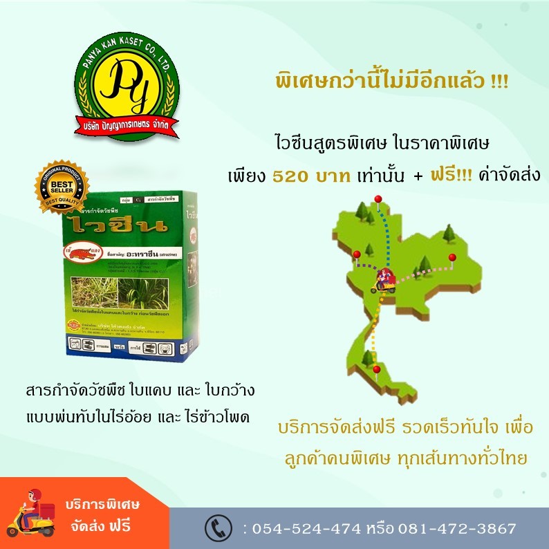 ไวซีน ตราเข้แดง สารควบคุมและกำจัดวัชพืชทั้งใบแคบและใบกว้างในไร่ข้าวโพด และ ไร่อ้อย