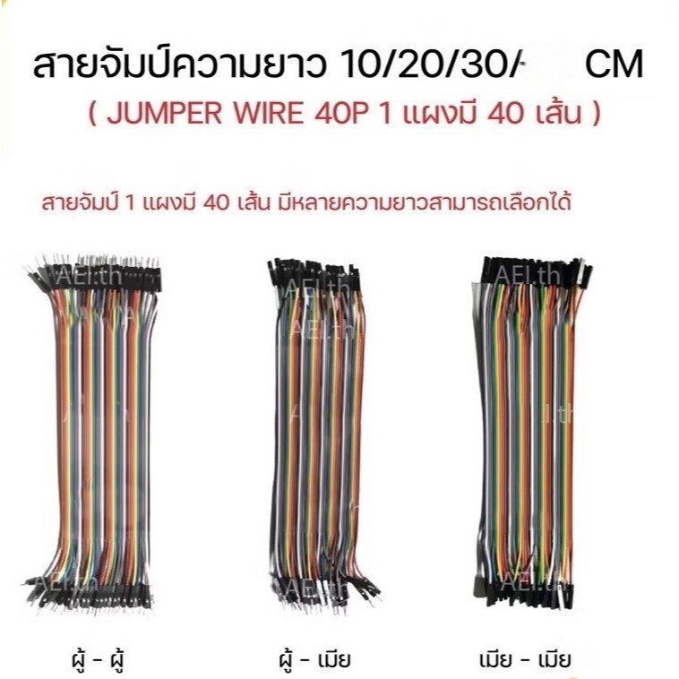 สายจัมป์ JUMPER WIRE 40PIN 10CM. 15CM. 20CM. 30CM. ผู้ - เมีย ผู้ - ผู้ - เมีย - เมีย (สินค้าในไทย ส่งเร็วทันใจ) L288