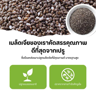 เมล็ดเจีย ออร์แกนิคแท้ 100% ไฟเบอร์สูง อิ่มนาน สุขภาพดี