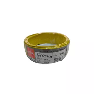 Big Home : สายไฟทองแดง GOAL THW 1x2.5 ตร.มม. 30 เมตร (ม้วน) สำหรับงานเดินสายไฟอาคาร ได้มาตรฐาน