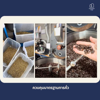 กาแฟสกัดเย็น Cold brew พร้อมดื่ม คั่วอ่อน-กลาง สูตร Berry Splash หอมเบอร์รี่ ดื่มง่าย ไม่มีน้ำตาล