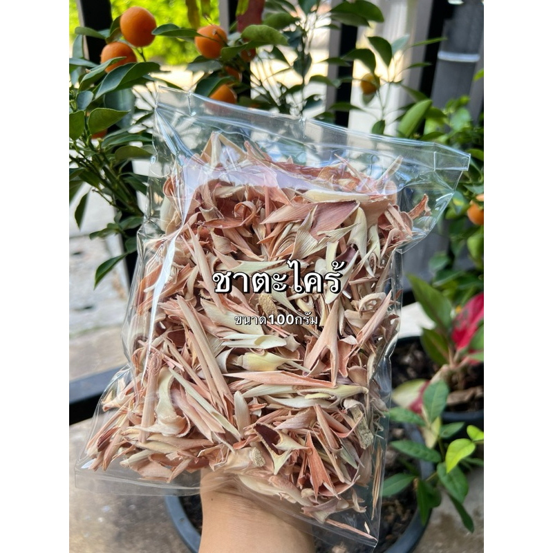 ชาตะไคร้ 100กรัม ตะไคร้อบแห้ง(ใช้ทำกับข้าวได้)สวยๆใหม่ๆ ราคา ถูกที่สุด ดีลบีเคเค