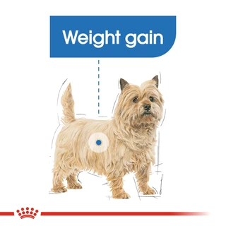 (สุนัข)Royal Canin Mini Light Weight Care3kg สำหรับสุนัขโต ขนาดเล็ก ควบคุมน้ำหนัก อายุ 10 เดือนขึ้นไป