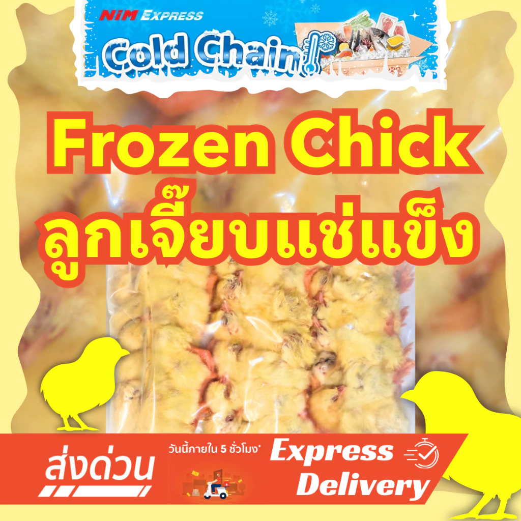[ส่งทันที] ลูกเจี๊ยบแช่แข็ง Frozen Chicks โปรตีนสูง แพ็ค 20 ตัว อาหารงู นกเหยี่ยว กิ้งก่า Exotic Pet