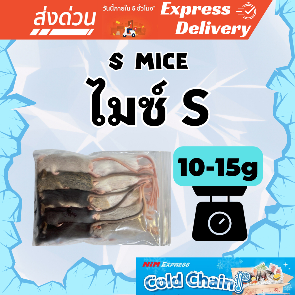 [ส่งทันที] หนูแช่แข็ง Frozen Mice S หนูไมซ์ S (11-15g) แพ็ค 10 ตัว อาหารงู กิ้งก่า กบ เหยี่ยว Exotic