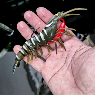 เหยื่อปลอม ปลายาง กุ้งยางเหมือนจริง ยางนิ่ม