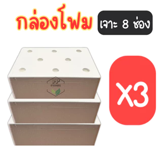 กล่องโฟมปลูกผักไฮโดรโปนิกส์ เจาะ 8 ช่องชุด 4 ใบ กล่องโฟมชุด 4 ใบ พร้อมปลูก (ชุด 4 ใบ มือ 1)