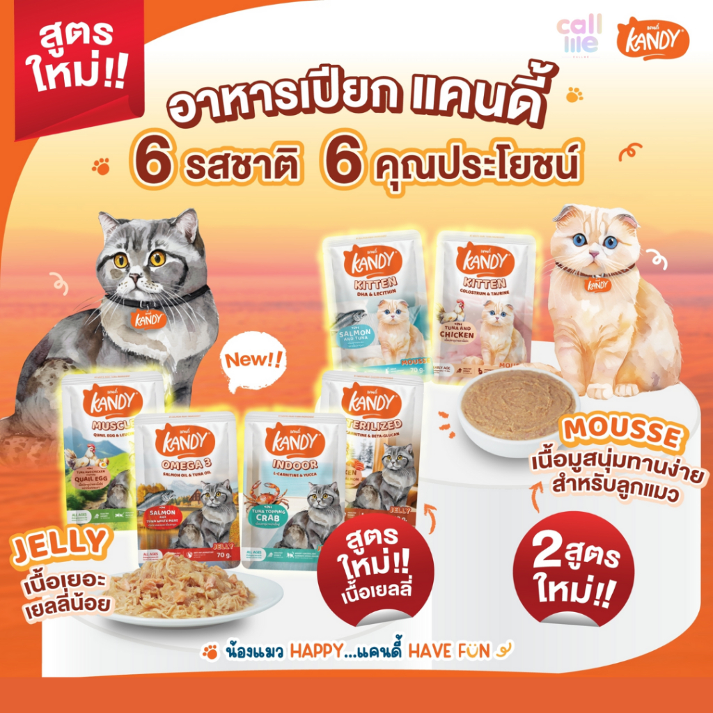 Kandy อาหารเปียกแมวแคนดี้ ไม่ใส่เกลือ [ยกโหล12ซอง] ซองละ 70 กรัม