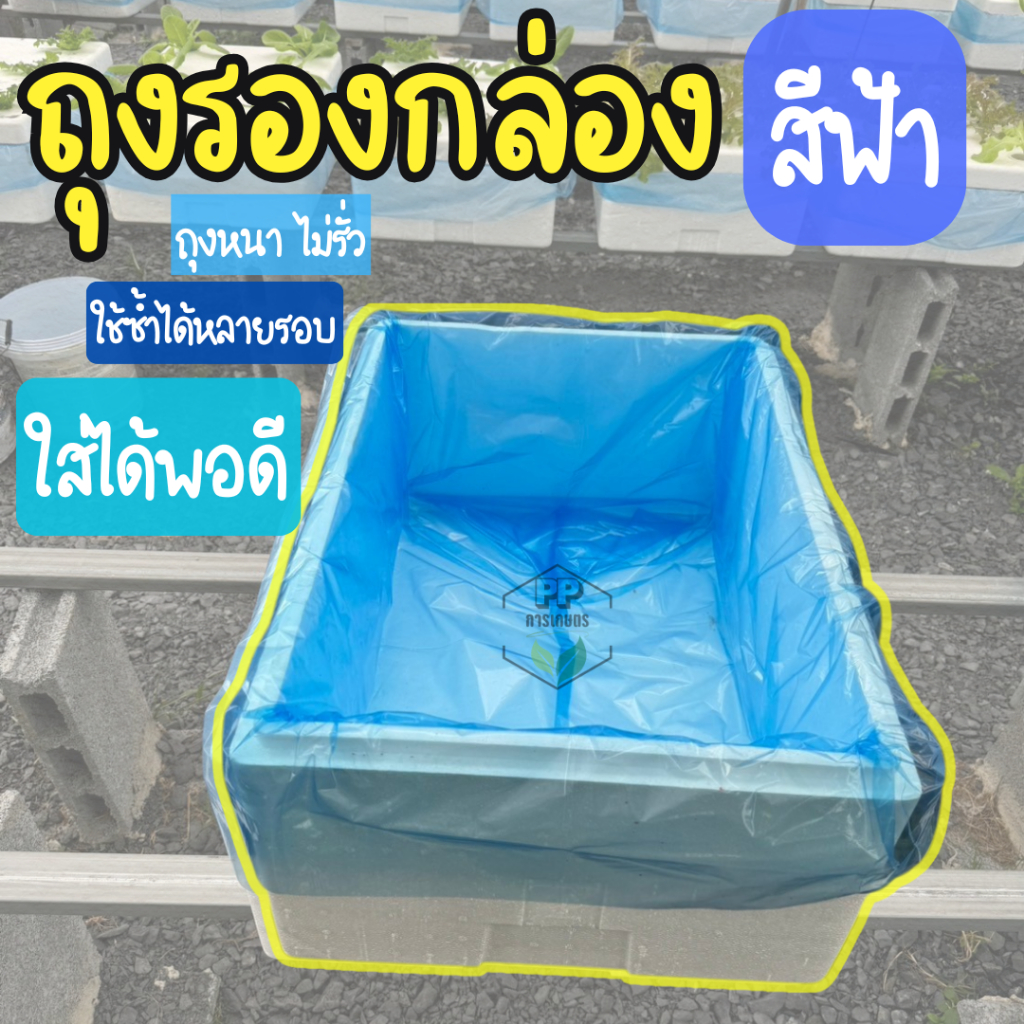 ถุงรองกล่องโฟมปลูกผักไฮโดรโปนิกส์ (*สีฟ้า*) ถุงรองกล่องโฟมกล่องกุ้ง กล่องปลา กล่องผัก (สวมพอดี)