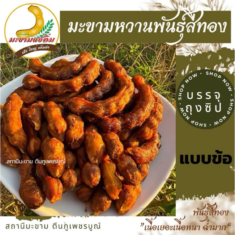 มะขามหวาน พันธุ์สีทอง (ข้อสั้น) “ไร้เม็ด มีเม็ด” ขนาด 200,500 กรัม
