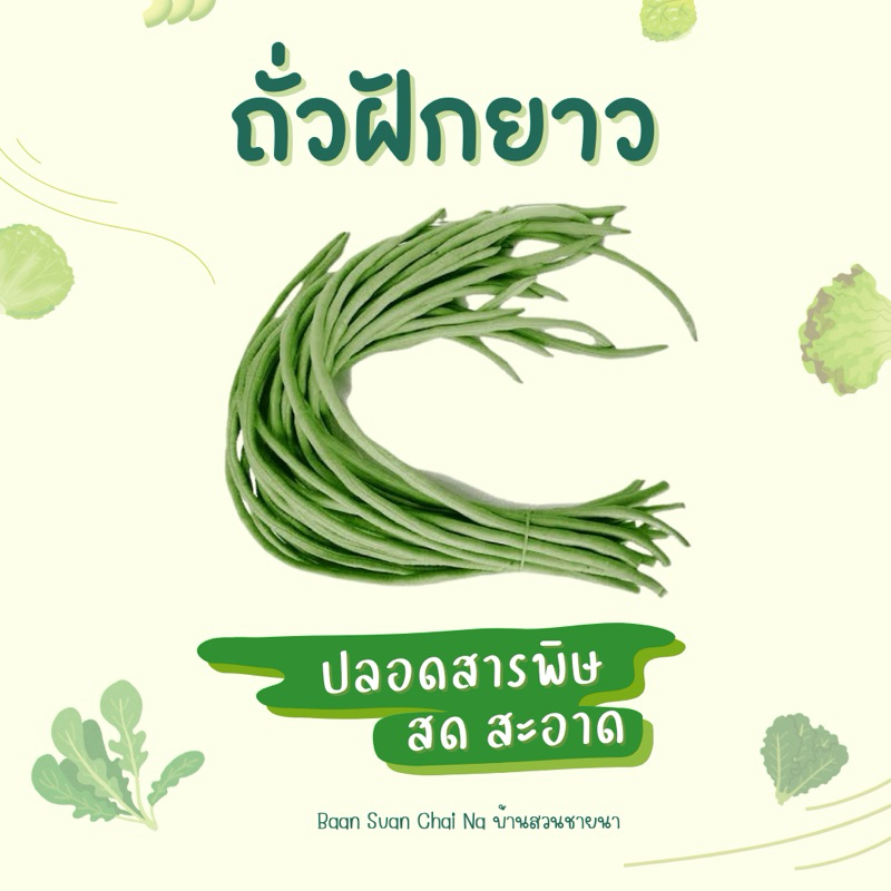 ถั่วฝักยาว สด สะอาด ปลอดสารพิษ ✨ ตัดสดตามออเดอร์ ✅ ออกใบกำกับภาษีได้