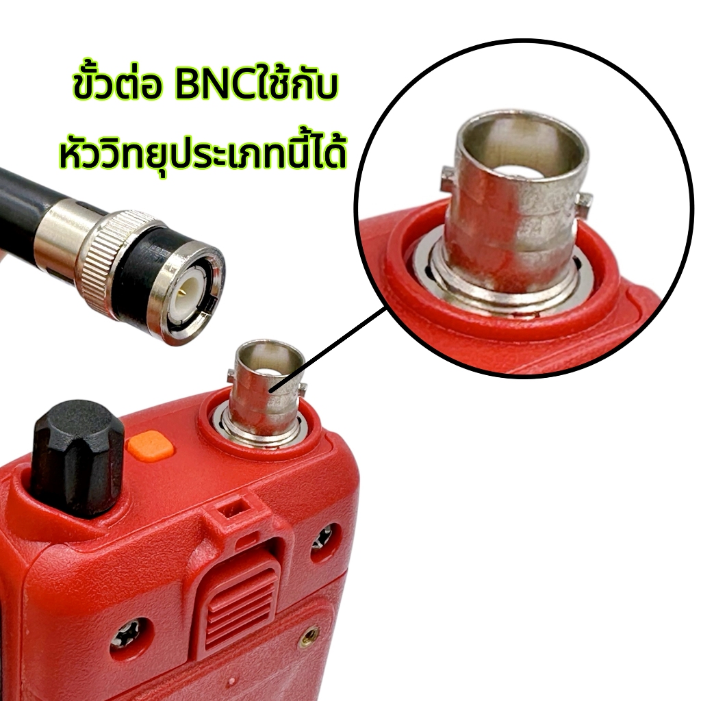 รูปภาพ 2