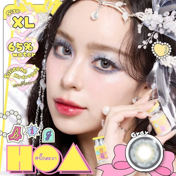 คอนแทคเลนส์Big Hoa มีสี เทา/ตาล Gray/Brown บิ๊กอาย ตาโต ไฮโดรเจล