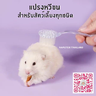 [Hamsterthailand] แปรงหวีขน แปรงขน อุปกรณ์สัตว์เลี้ยง ขนนุ่ม สำหรับสัตว์เลี้ยง แฮมสเตอร์