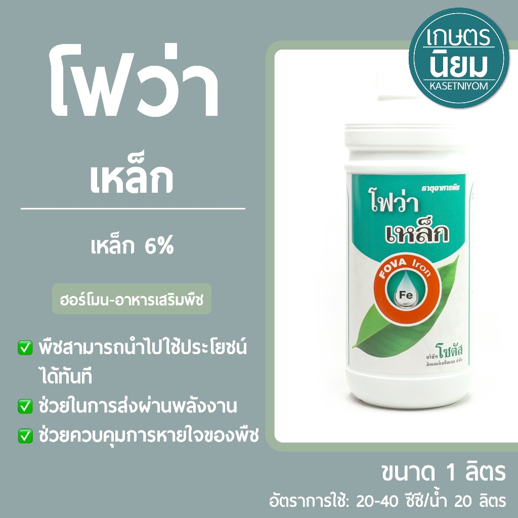 โฟว่า เหล็ก (เหล็ก 6%) 1 ลิตร