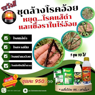 ชุดล้างโรคในอ้อยหยุดลุกลามและรักษาโรคแส้ดำและเชื้อราต่างๆในอ…