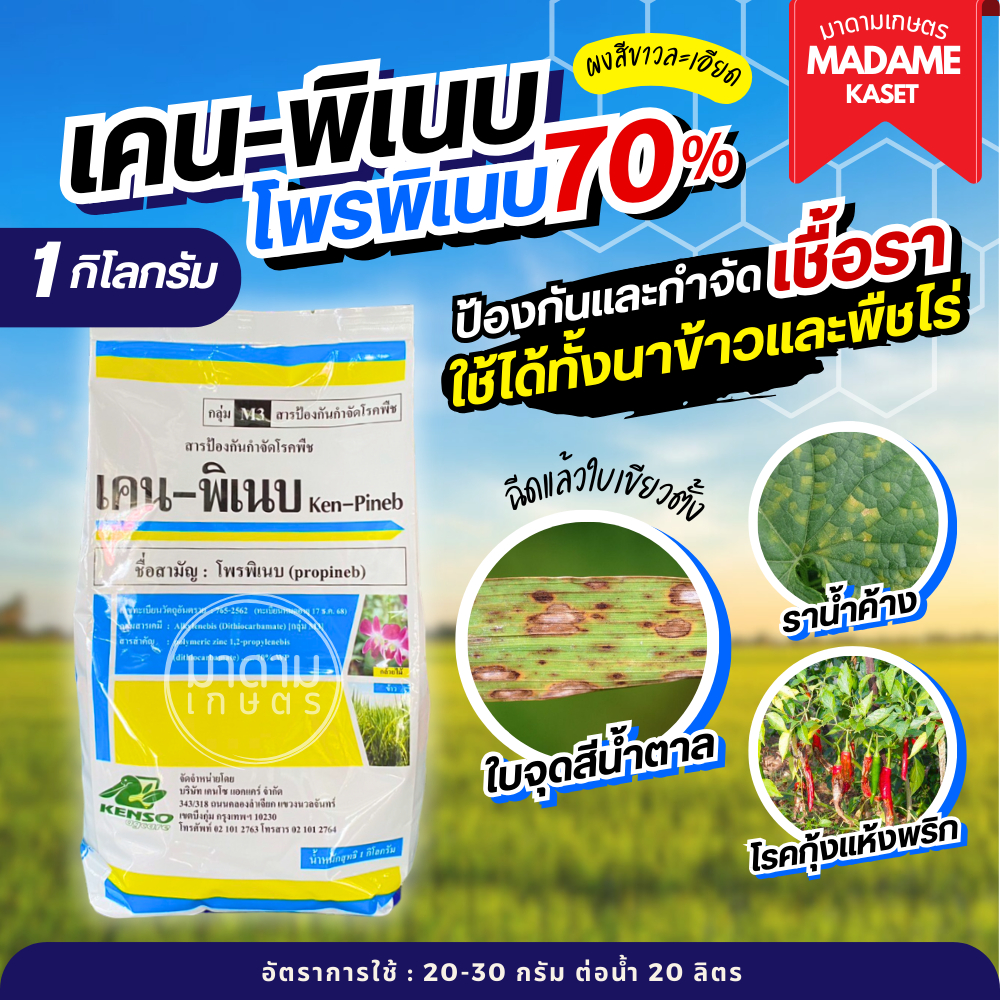 เคน-พิเนบ (โพรพิเนบ) สารเดียวกับแอนทราโคล เก่งโรคใบจุด ราน้ำค้าง โรคราแป้ง แอนแทรกโนส โรคใบจุดสีม่วง ( 1 กิโลกรัม )