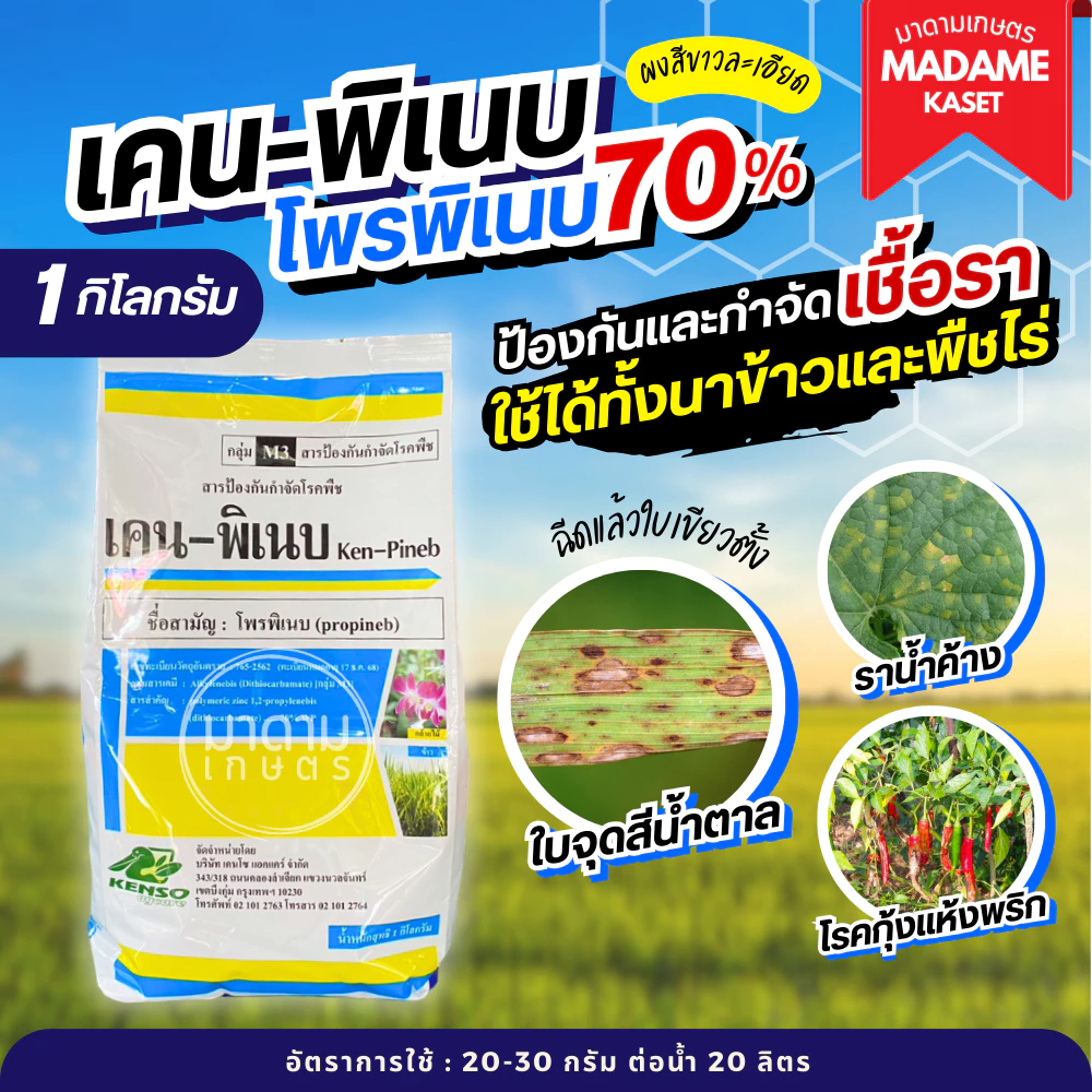 เคน-พิเนบ (โพรพิเนบ) สารเดียวกับแอนทราโคล เก่งโรคใบจุด ราน้ำค้าง โรคราแป้ง แอนแทรกโนส โรคใบจุดสีม่วง ( 1 กิโลกรัม )