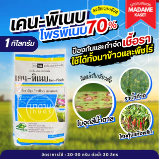 เคน-พิเนบ (โพรพิเนบ) สารเดียวกับแอนทราโคล เก่งโรคใบจุด ราน้ำค้าง โรคราแป้ง แอนแทรกโนส โรคใบจุดสีม่วง ( 1 กิโลกรัม )