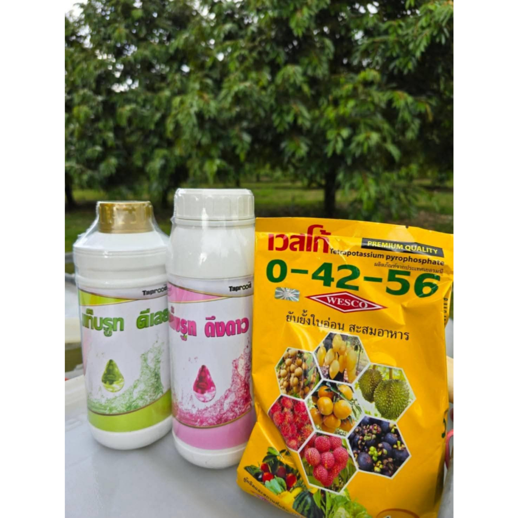 ชุดคลุมใบ ขั้นวิกฤต [ดีเลย์+ดึงดาว+0-42-56]