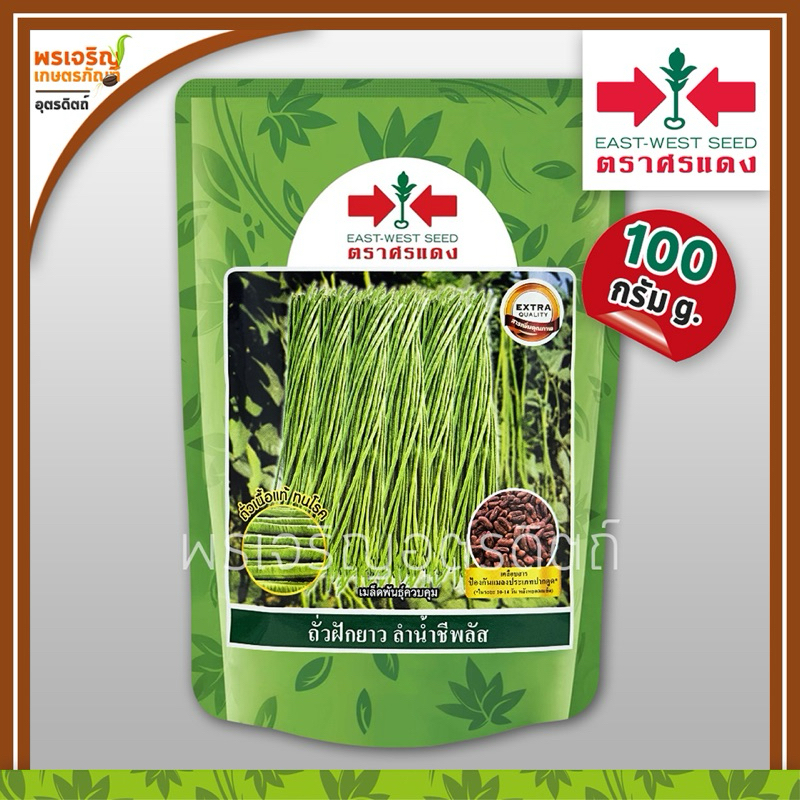 เมล็ดพันธุ์ ถั่วฝักยาว ลำน้ำชีพลัส พันธุ์ถั่วเนื้อ เมล็ดเคลือบ (100 กรัม) เมล็ดถั่วศรแดง เมล็ดพันธุ์ผักสวนครัว ตราศรแดง