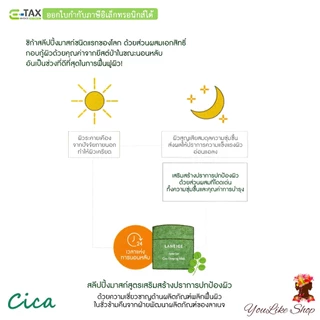 Laneige Cica Sleeping Mask (8,10 ml) สลีปปิ้งมาสก์ สูตรฟื้นฟูผิวให้แข็งแรง [Special Care มาส์ก ครีม]