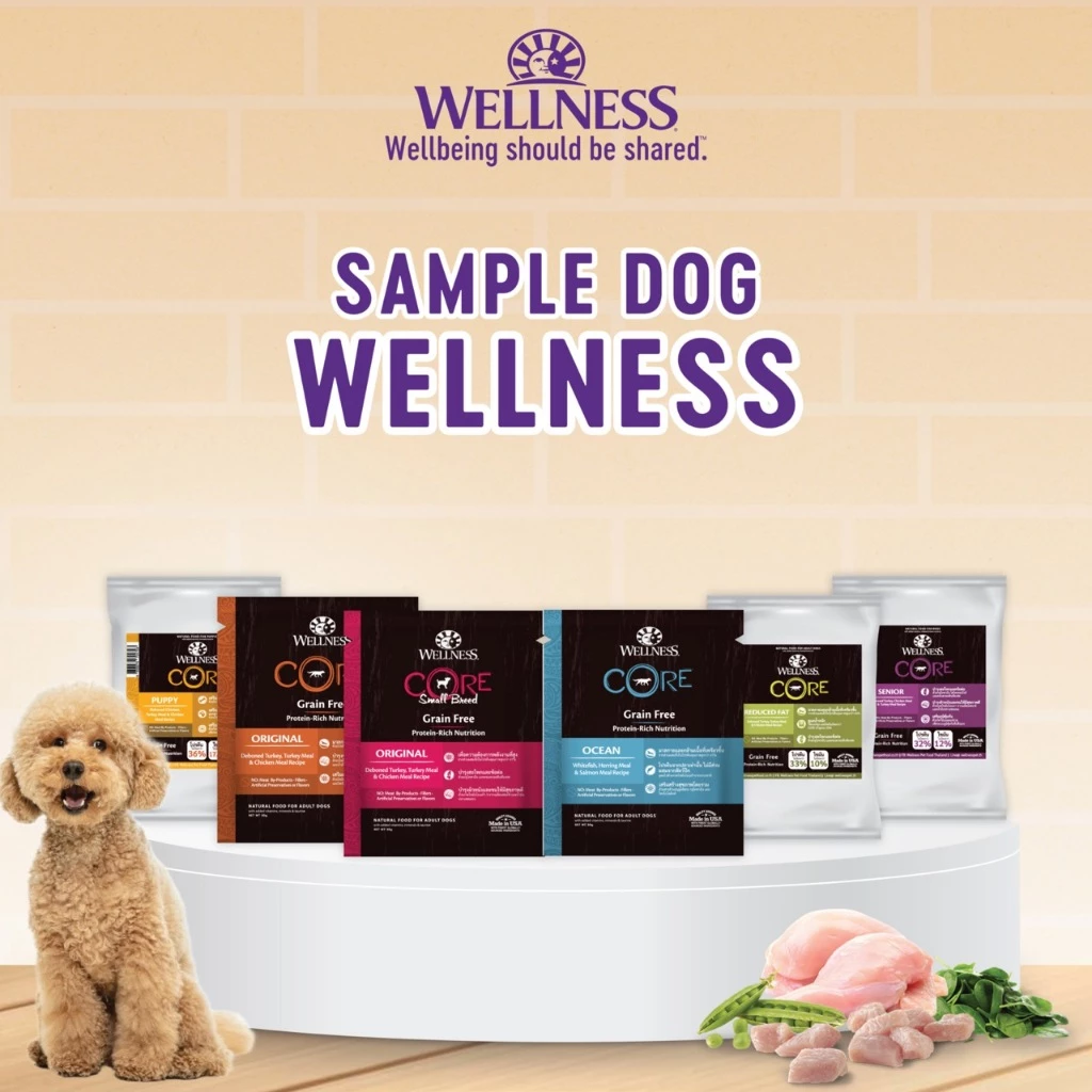WELLNESS CORE [สินค้าตัวอย่าง] อาหารสุนัข มีให้เลือกหลายสูตรทุกช่วงวัย (สุนัขเด็ก - สุนัขโต)