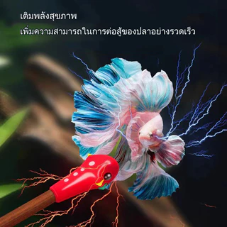 ไม้ล่อปลากัด ปลากัดสวยงาม ใช้สำหรับ หลอกล่อปลากัด จะทำให้ปลาว่ายน้ำพริ้วกว่า