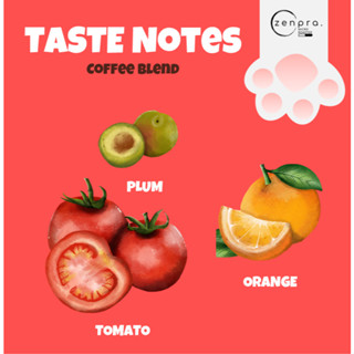 เมล็ดกาแฟ PANG KHON ปางขอน medium Roast