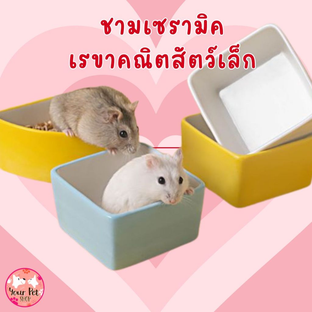 ชามเซรามิคเรขาคณิตสัตว์เล็ก ชามแฮมเตอร์ หนู กระรอก สัตว์ฟันแทะ ชูก้า Small Pet bowl