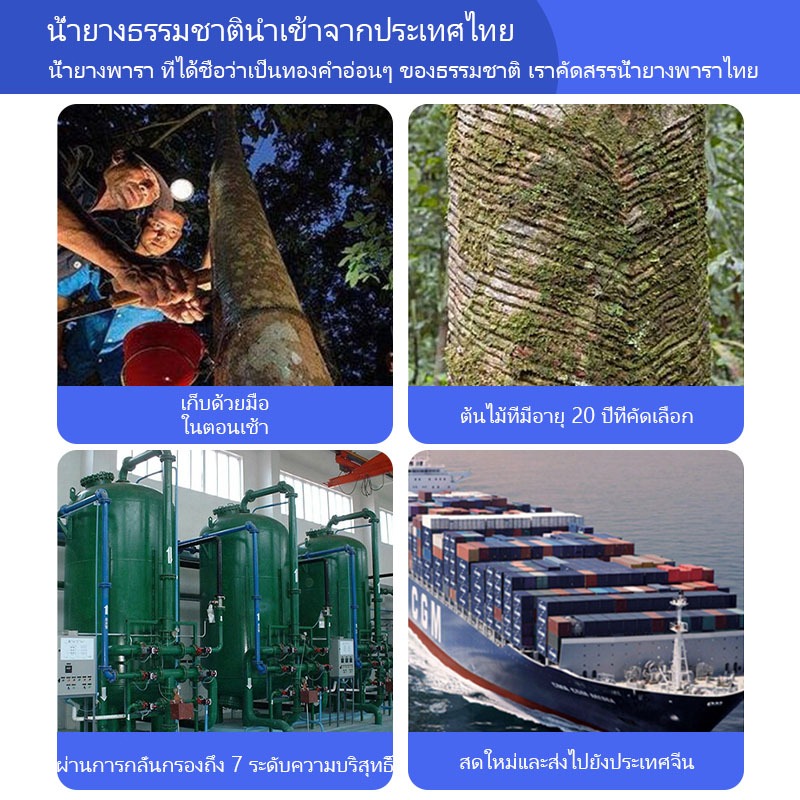 𝐋𝐀𝐓𝐀 ที่นอนยางพา