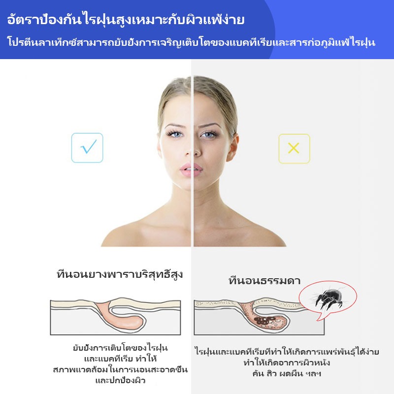 𝐋𝐀𝐓𝐀 ที่นอนยางพา