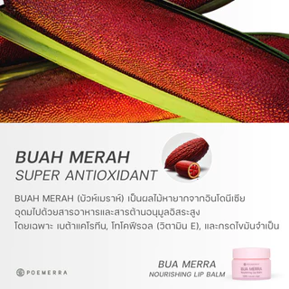 POEMERRA ลิปบาล์ม คุณหนูดี บำรุงริมฝีปาก แห้ง ปากคล้ำ ปากดำ ลิปมัน Lip Balm จากธรรมชาติ ขนาด 8 g. จำนวน 1 กระปุก