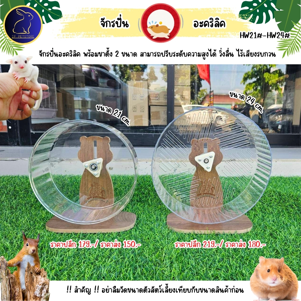 จักรปั่นหนูแฮมสเตอร์ กระรอก ชูก้าร์ไกลเดอร์ จักรปั่นอะคริลิค พร้อมขาตั้ง ของเล่นสัตว์เล็ก
