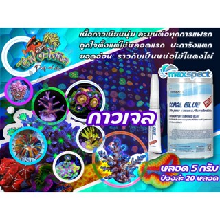 Reef-Aholic Maxspect Coral Glue 5g  กาวเจลติดปะการัง ใช้ได้ใ…