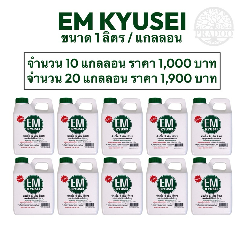 หัวเชื้อ EM KYUSEI อีเอม คิวเซ ขายยกแพ็ค 10 แกลลอน และ 20 แกลลอน