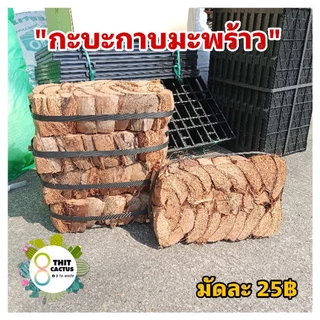 // กะบะกาบมะพร้าว// ขนาดมัดราว 20*30*สูง10cm //ถาดกาบมะพร้าว ปลูกกล้วยไม้ ไม้เลื่อย