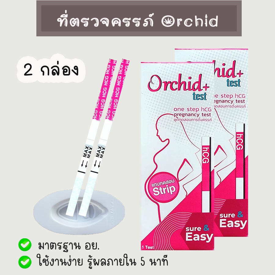 💧 ที่ตรวจครรภ์ Orchid+ (จุ่ม 2 กล่อง) HCG ตรวจตั้งครรภ์ ตรวจท้อง